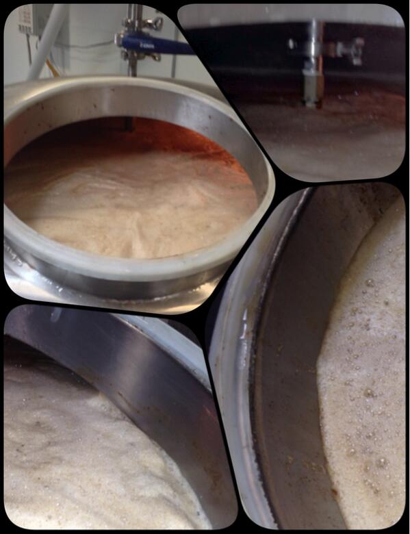 KineticBrewing's tweet image. Limit reached. 1094 lbs. of #SimpsonMalt and 11 bbls. of hot liquor in a 10 bbl. mash tun #craftbeer #SecondGear