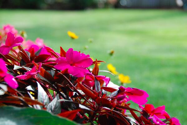 Bring in the spring with Toccare this Saturday from 12-4! Complimentary petite facials and massages by appointment!