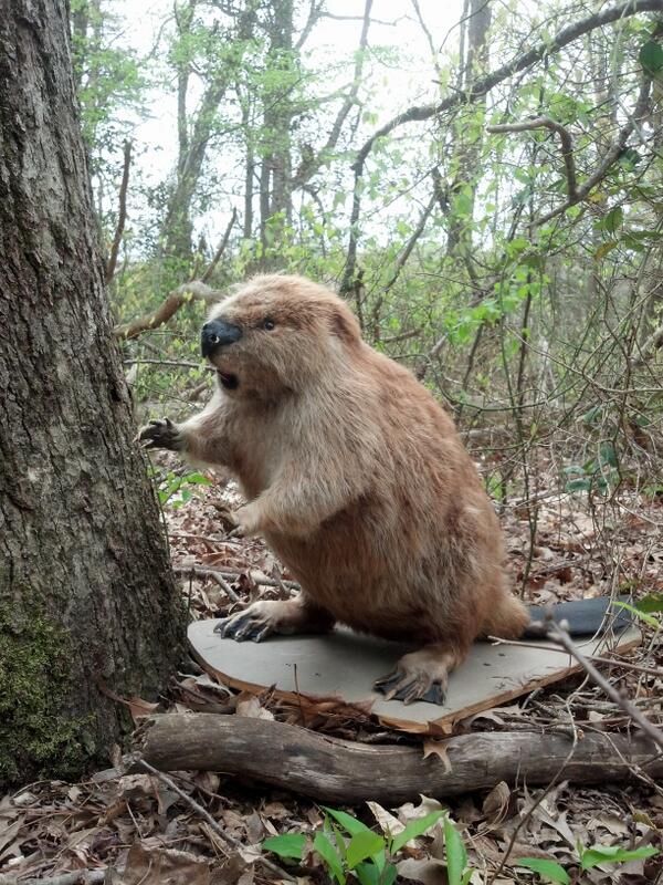 mx5d's tweet image. :-)