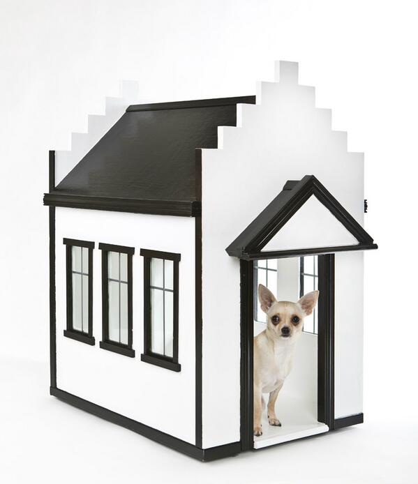 Short Dog n Sides tweet media