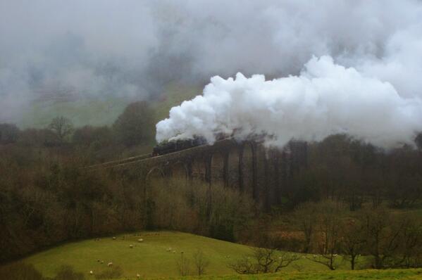 Llanerchindda Farm tweet media