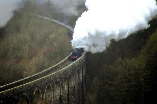 Llanerchindda Farm tweet media