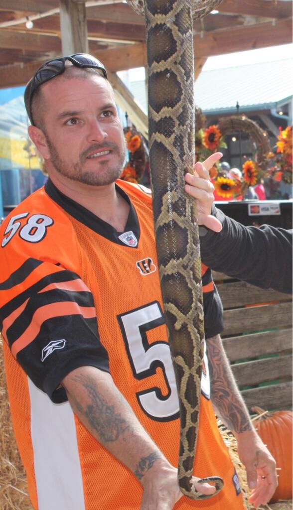 GarythePython's tweet photo. My Bengal fan friend http://t.co/Bbbtg1qEbO