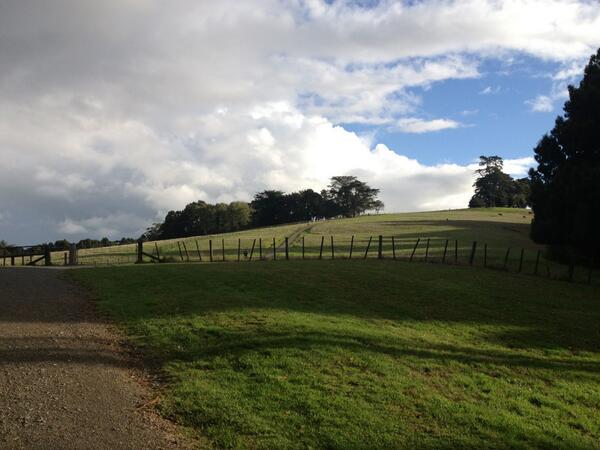 Biukahful's tweet image. Totara - I just conquered you!.. &amp;amp; Ill see you again tomorrow.. #Dying #Crying #SweatingIt #PuffedOutSmoker