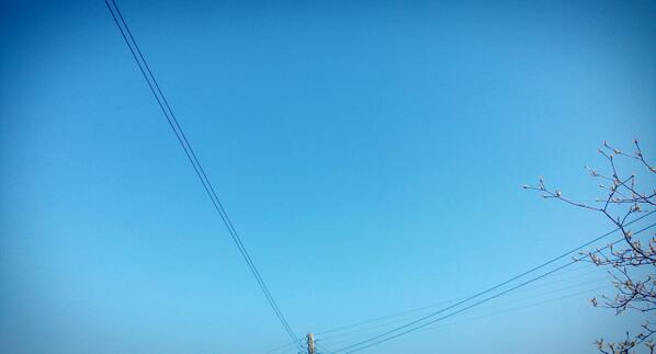 genius_room's tweet photo. Wall to wall blue sky. All the way from here ...to... there. It makes us so happy http://t.co/LeCoaQahAD
