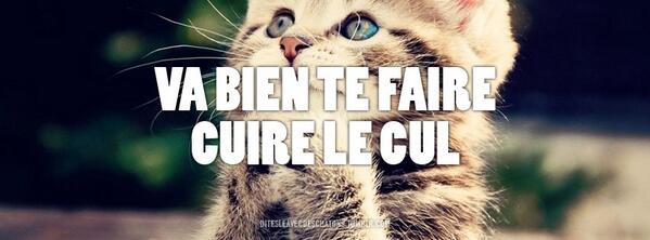 blablatueuse's tweet photo. Dites-le avec des chatons... Like a quiche http://t.co/2MHOSdoqxE