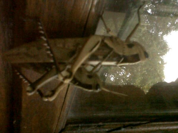 Joan_Cuthbert tweet picture