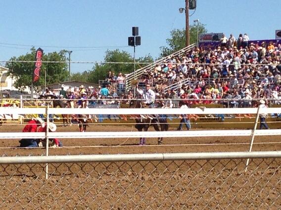 AbbySalters's tweet image. #tuftuesday #redbluffroundup @tufcooper