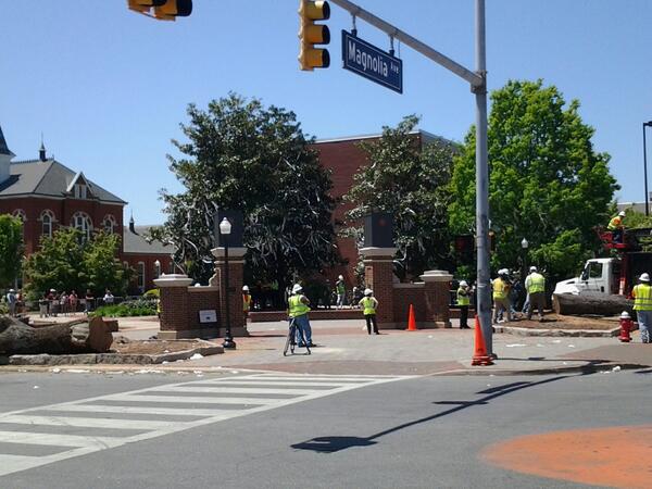 TheAUPlainsman's tweet photo. Both Toomer's Oaks have now been cut down http://t.co/IE7DQaFJIK