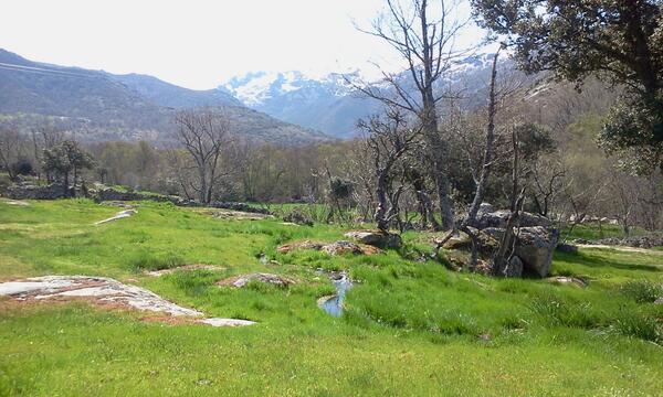 gredosesmas's tweet photo. Preciosa foto de #Gredos, ven y disfrutalo. #casasrurales. Gredosesmas http://t.co/NIBSv5NVLm