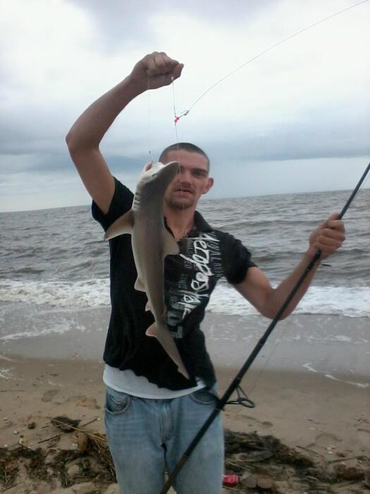 DailyGamePics.com tweet media