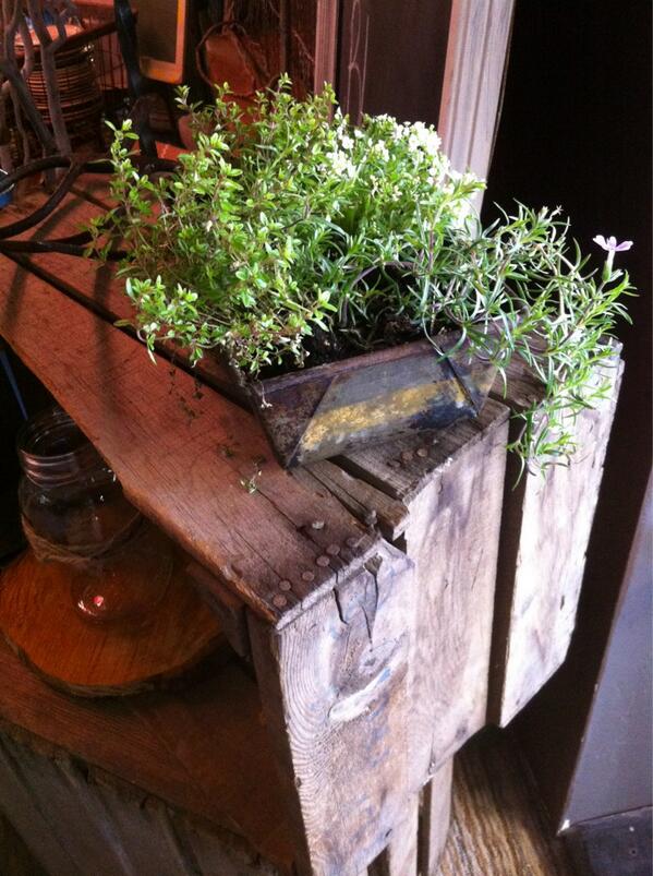 MyPerfectEvents's tweet image. #decorative old bread tins as planter boxes for your #spring #event!