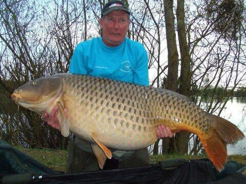 Eckerstheangler's tweet photo. NEW WORLD RECORD COMMON  been beaten by Colin Smith. at Etang Saussaie, France, weighing in at a colossal 100lb 8oz! http://t.co/Ex2LrY0ZhB