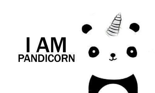 paolacardiel3's tweet image. #Pandicorn haha @paolavargas1D