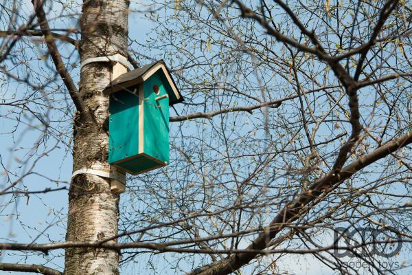 BAJOtoys's tweet photo. Some of our birdhouses have tenants already! http://t.co/GfV2LQDp0F