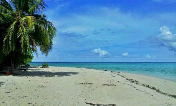 FestivalDerawan's tweet photo. foto pulau Sangalaki, Kep. #Derawan. Breath taking!! http://t.co/xfNM03zRf9 via @Hilo