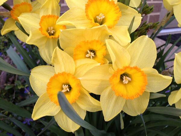 javaj2ee's tweet image. Springify