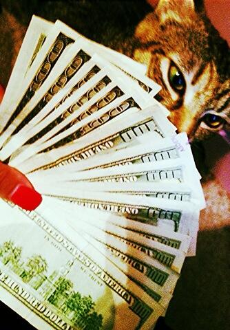 fckYo_feelings's tweet photo. GoodMorning Benji's 💵❤😊 Lls My Cats even Hip 😻😆 http://t.co/zsiJ1caz2O