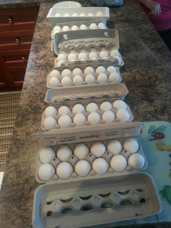 Brellz01's tweet photo. @ErmannoGirardo @2breeezy anybody need some eggs I think I can spare a few for any1 gettin low #NotStayinSmallForever http://t.co/ELp37OIkLf