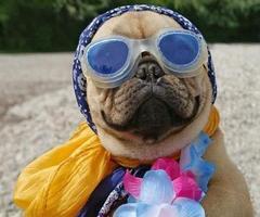 DiscoverBtqs's tweet photo. Suns Out http://t.co/tL9QHP7pRO