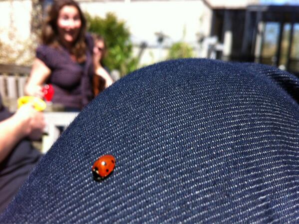 iljakramer's tweet photo. Lieve heers beestje #24radboud http://t.co/50nE1M4abX