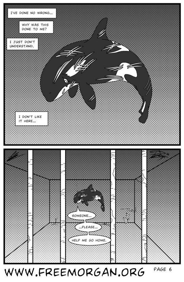 Cartoon reminder 6: Keep voting <a href="/Free_Morgan/">Free Morgan</a> and <a href="/simonsam/">Sam Simon</a>  celebcharitychallenge.org  . Only 22 hours left!!!