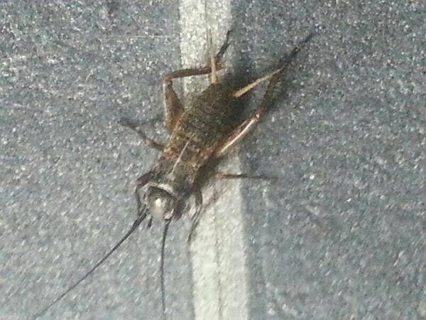comtia's tweet photo. Can any one tell me what this is http://t.co/PtWysC9Xzl