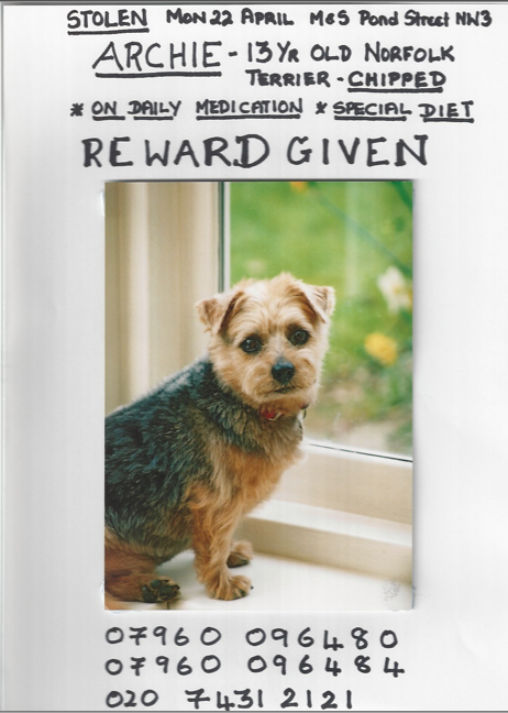 13yr old dog stolen from outside M&amp;S Pond St, NW3 on Monday 22nd April. Please help find him. Needs meds.