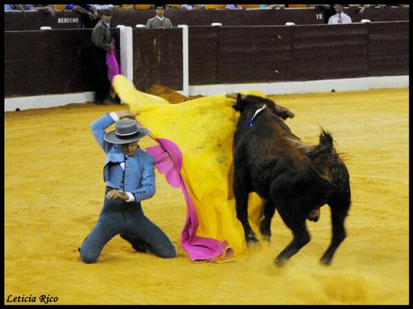 El novillero <a href="/torerovazquez97/">Luis Vázquez </a> dando una larga cambiada en la Feria de Murcia 2012