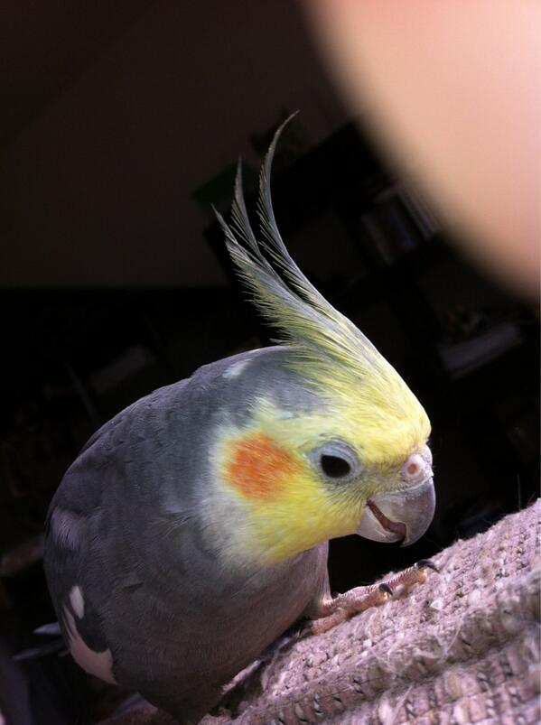 verogirl82's tweet photo. http://t.co/EiPwUcXBrR
