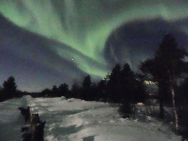 ITrijp's tweet photo. Onder het noorderlicht met de doggies! http://t.co/8Pow6STORY