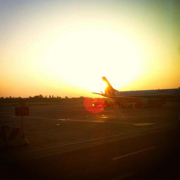 TMascetti's tweet image. even better