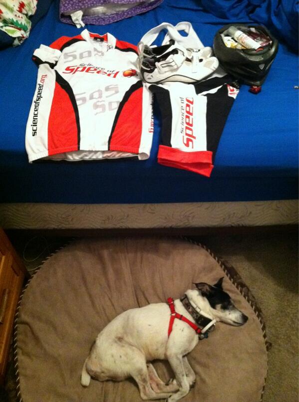 Alex Smyth (Smyth_Alex) Twitter