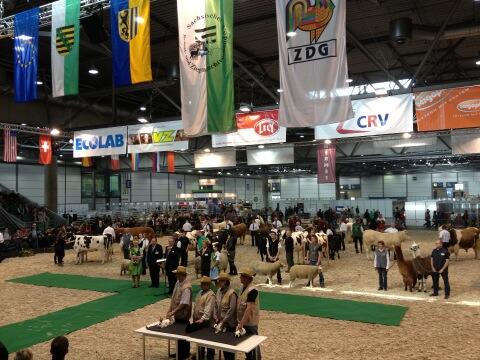 speakquick's tweet image. Agra 2013 in Leipzig Wooohooo :) !!!