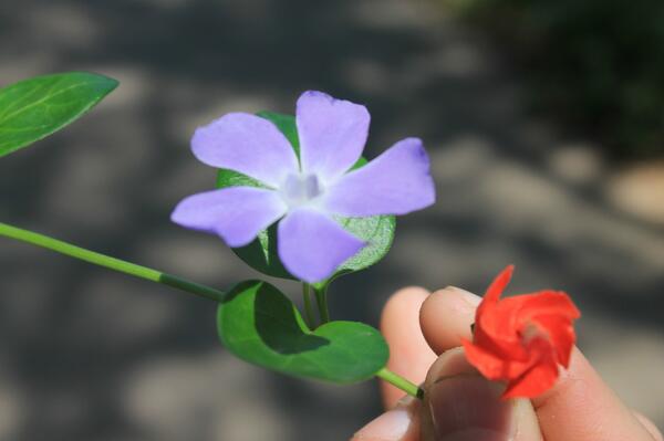 The_GreenSource tweet picture