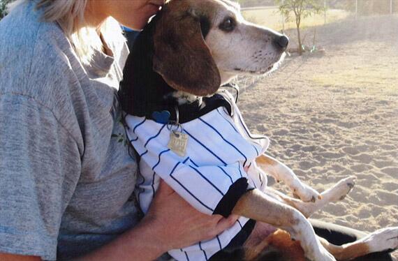 Letters to Pushkin: From Loss to Inspiration and Healing centerforabetterlife.com/eng/magazine/a…