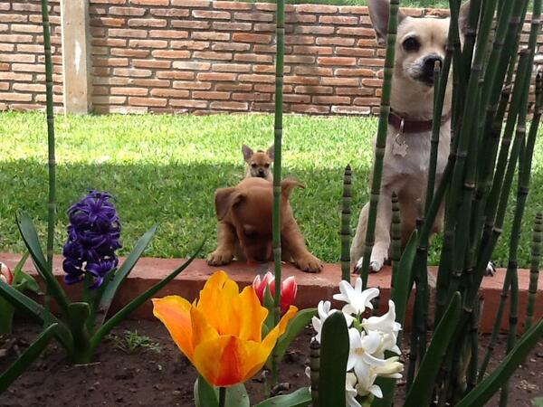Rodelmoral25's tweet photo. http://t.co/5sKoCkXc1H