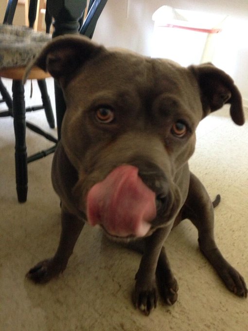 @nautalis444 my sweet girl is sending you a kiss! 😘 http://t.co/SfLqdRsX8G<a class="tags" target="_blank" title="On Twitter" href="/?out=eyJ0eXAiOiJKV1QiLCJhbGciOiJIUzUxMiJ9.eyJpYXQiOjE3MjcyNjYyNDIsImlzcyI6InR3cG9ybnN0YXJzLmNvbSIsIm5iZiI6MTcyNzI2NjI0MiwiZXhwIjoxNzU4ODAyMjQyLCJyZWRpcmVjdF91cmwiOiJodHRwczovL3R3aXR0ZXIuY29tL25hdXRhbGlzNDQ0In0.9j6tlH1PwSepDaO3_4WhNU4m6OZanLNquMD2lVSF-U5C1B0IFvbqdZ9R0NkkpNwqlHDe6719bI2RtciFMRALMA">@nautalis444</a><a href="/tag/delish"class="tags"><span>#delish</span></a>