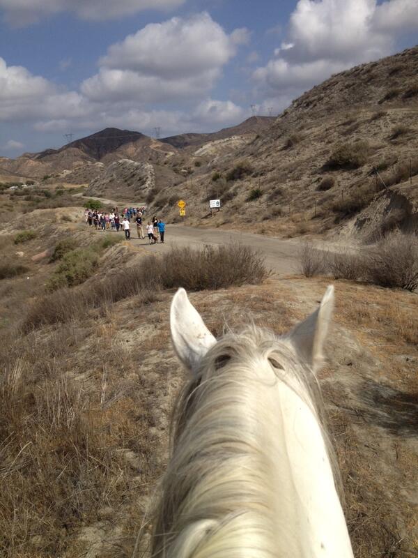 Hello to my April 2013 #TrainingCesarsWay Pack Leaders!!!