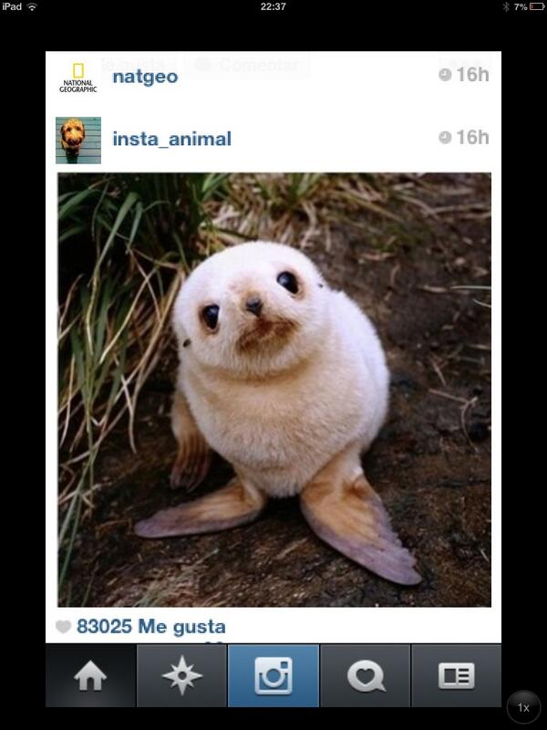 Hola cham <a href="/pameladiaz/">ximena del carmen do</a>