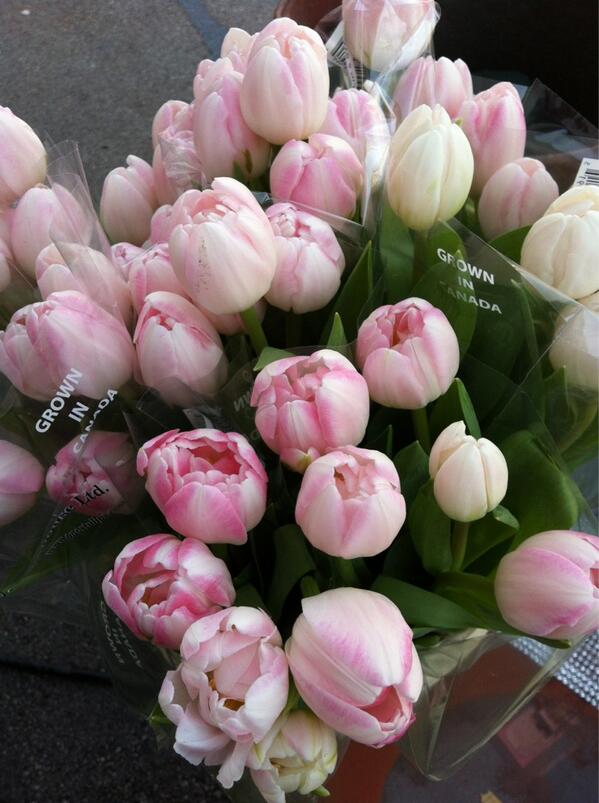 _DesignNetwork's tweet image. What&apos;s in store for tomorrow??! Think spring!