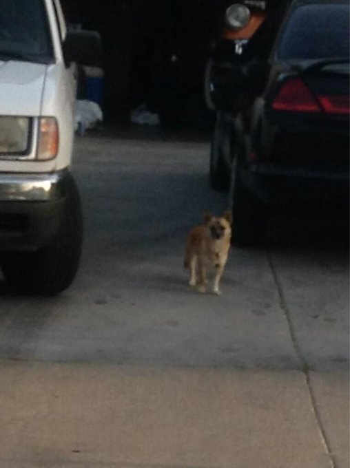 Watch GuadaLean's leaked NSFW photo on TwXstars