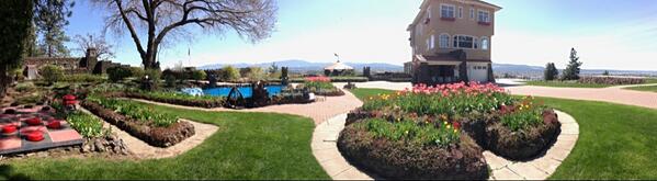 Grab a glass of wine and let's play!