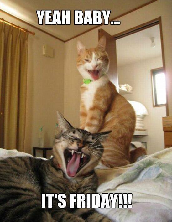 emma_costello__'s tweet image. Finally! #UCDBall