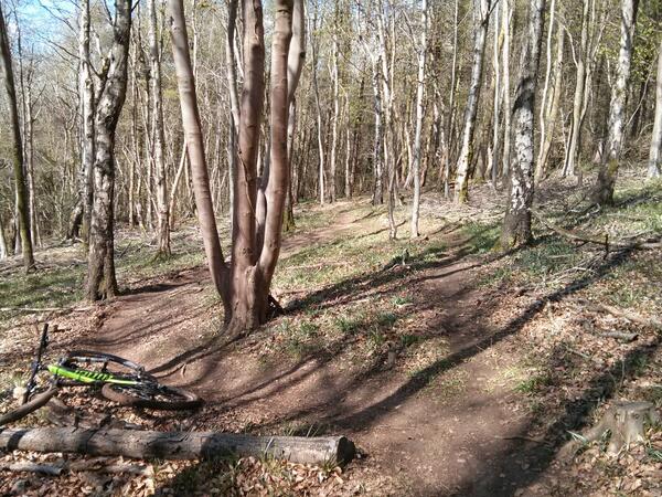 Launching the campaign against Straightlining #Strava Junkies with Keep Our Singletrack Twisting #KOST Please RT ;-)