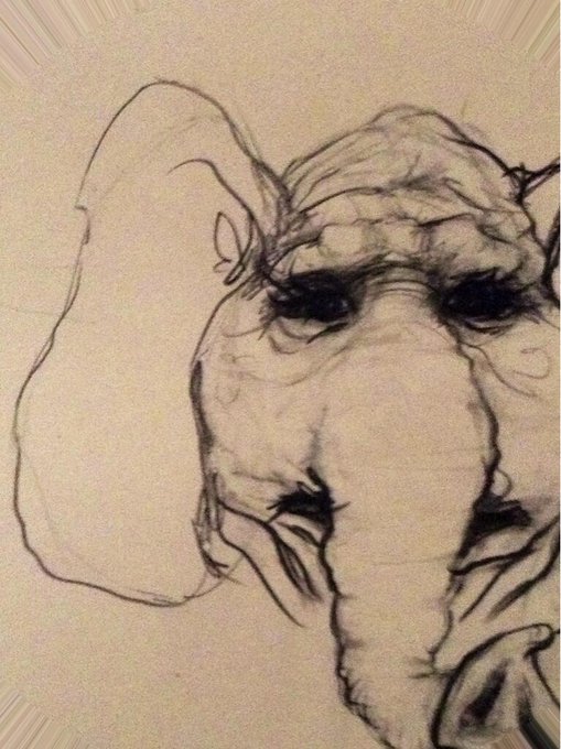 Doodle; Elequai the Elephant... http://t.co/WzY2JFjp0L