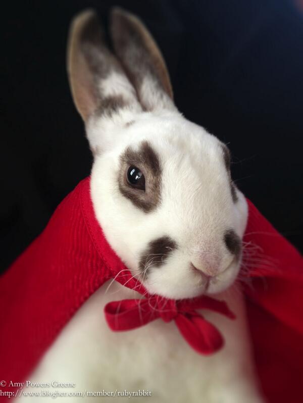 TheRealistRuby's tweet photo. Little Red Ruby Hood. http://t.co/lJDZpyfHog