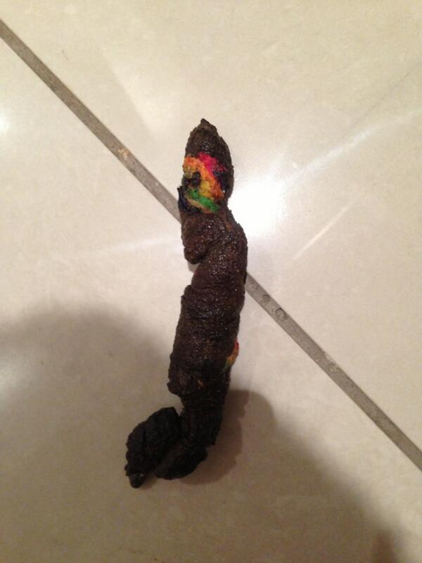 Think my dogs are Rastas