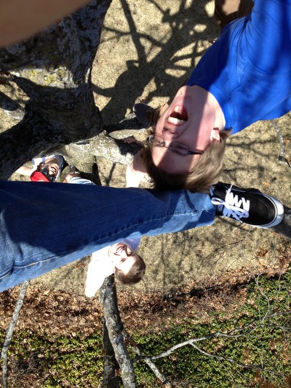 andrewbugbee's tweet image. Family tree