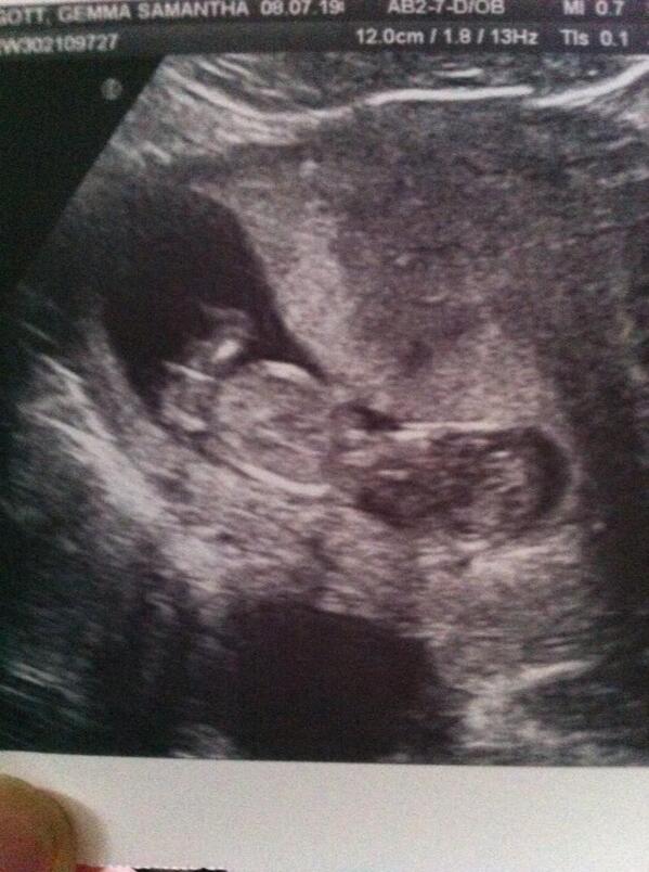 DianeGott's tweet photo. The latest addition to the Gott family :-)) http://t.co/K2Bg9JQtvK
